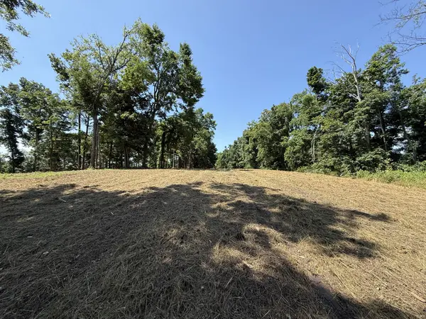 0 Joy, Mount Pleasant, TN 38474