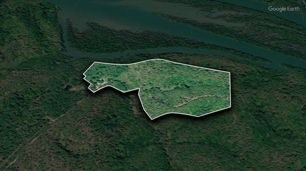1343 Chalk Hollow Ln, Waverly, TN 37185