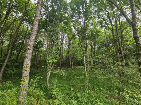 229 Windstone Drive, Tracy City, TN 37387