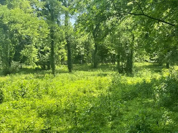 713 Lewis Ave, Shelbyville, TN 37160