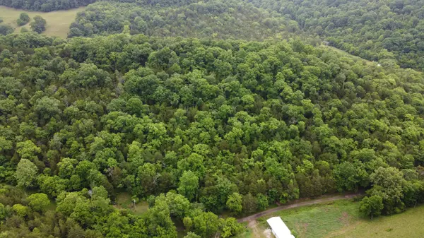 32 Patterson Ln, Pleasant Shade, TN 37145