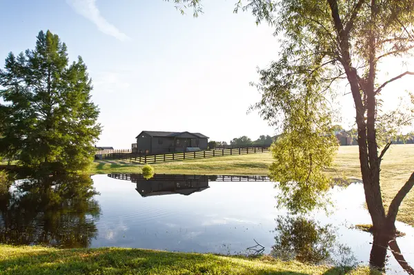 2981 Summertown Hwy, Summertown, TN 38483