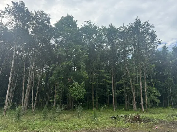 1133 Milltown Rd, Lewisburg, TN 37091