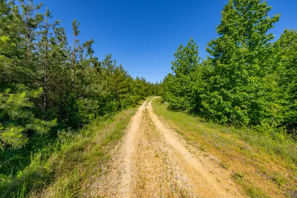 0 White Oak Rd, Stewart, TN 37175