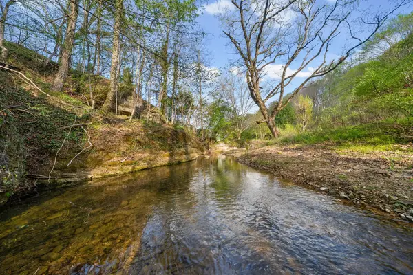 4 Bud Parker Lane, Erin, TN 37061