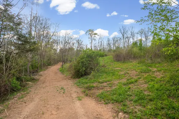 4 Bud Parker Lane, Erin, TN 37061