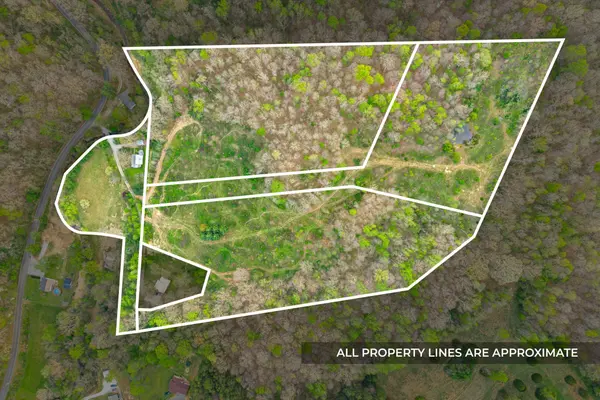 4 Bud Parker Lane, Erin, TN 37061
