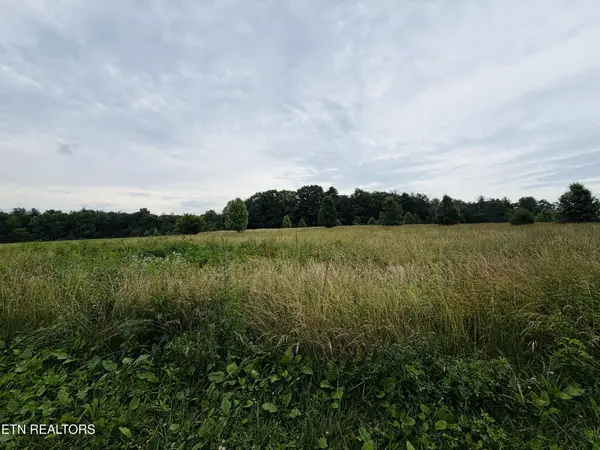 98 Tyler Tr, Jamestown, TN 38556