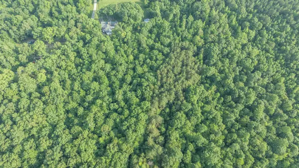 0 Todd Ln, Lexington, TN 38351