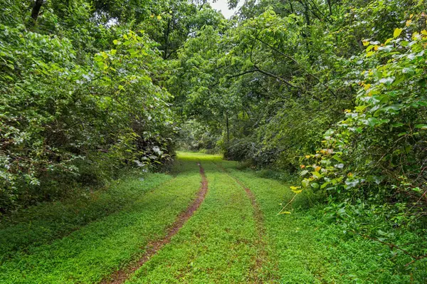 0 Stephens Road, Columbia, TN 38401