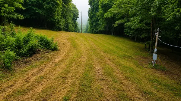 1299 Dixon Town Rd, Prospect, TN 38477