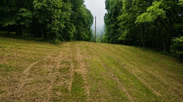 1299 Dixon Town Rd, Prospect, TN 38477