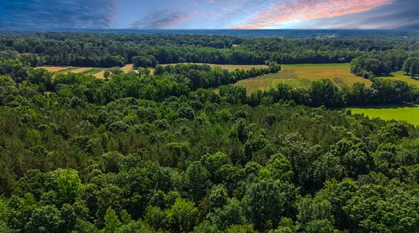 0 Beech Ridge Rd, Parsons, TN 38363