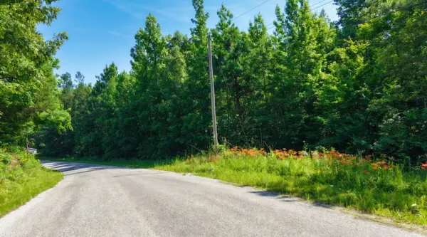 0 Beech Ridge Rd, Parsons, TN 38363