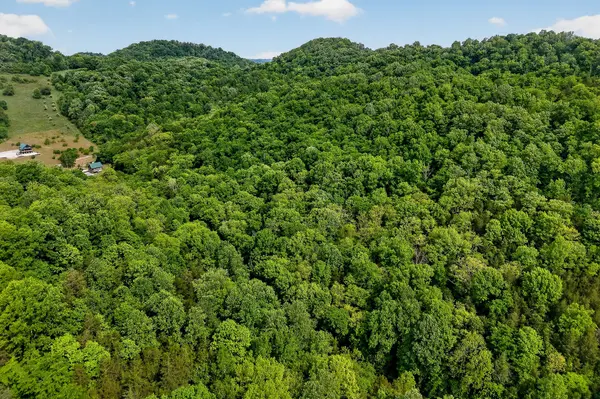 4830 Ensor Hollow Rd, Buffalo Valley, TN 38548