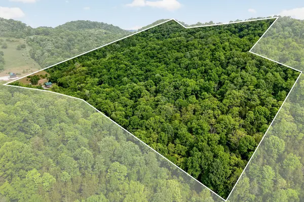 4830 Ensor Hollow Rd, Buffalo Valley, TN 38548