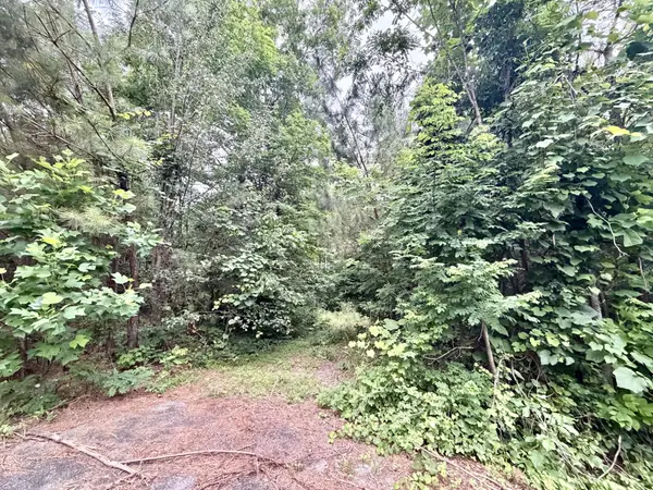0 Cobbler Ridge Road, Franklin, TN 37064
