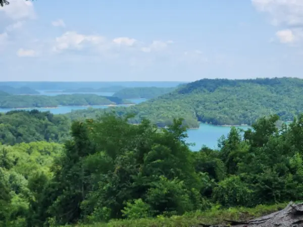 0 Rock Fish Rd #E, Hilham, TN 38568
