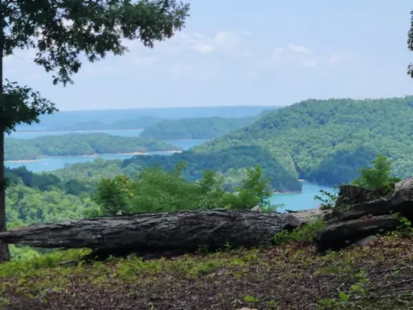 0 Rock Fish Rd #E, Hilham, TN 38568