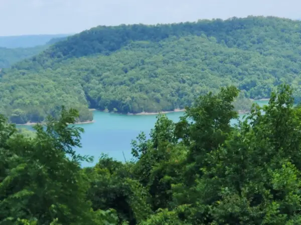 0 Rock Fish Rd #E, Hilham, TN 38568