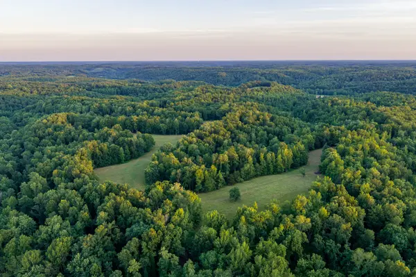 2073 Dog Branch Rd, Prospect, TN 38477
