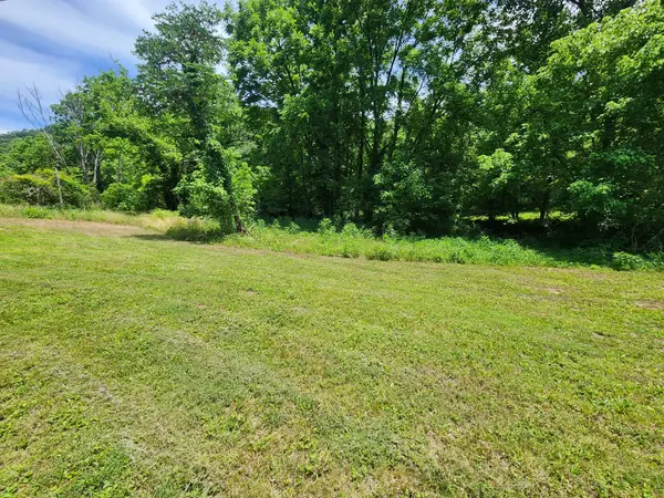 1 Scruggs Hollow Ln, Hartsville, TN 37074