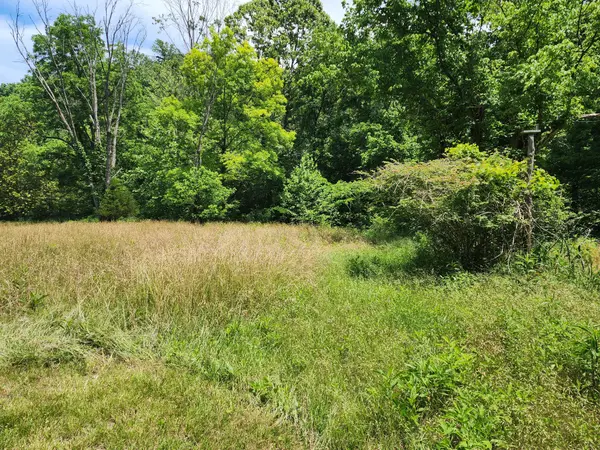 1 Scruggs Hollow Ln, Hartsville, TN 37074