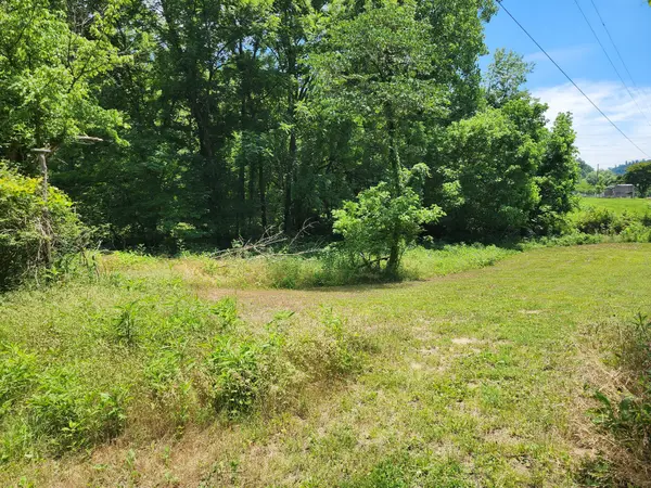 1 Scruggs Hollow Ln, Hartsville, TN 37074
