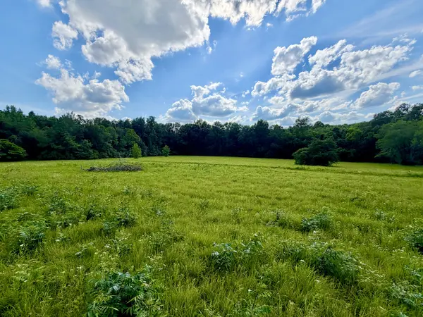 1251 Highway 96 #N, Fairview, TN 37062