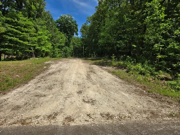 730 Swan Bay Dr, Buchanan, TN 38222