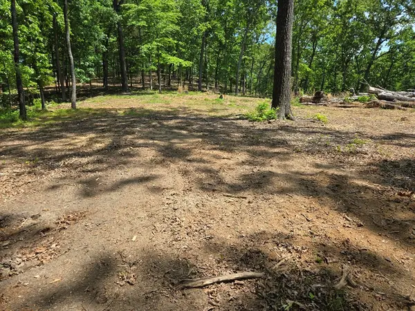 730 Swan Bay Dr, Buchanan, TN 38222