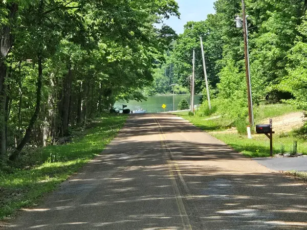 730 Swan Bay Dr, Buchanan, TN 38222