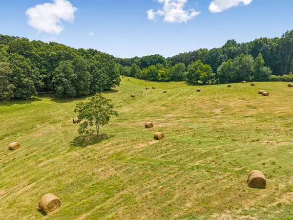 0 Crowder Rd, Lawrenceburg, TN 38464