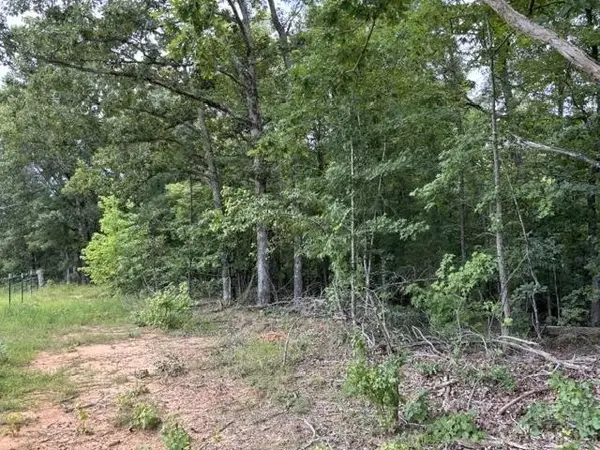 0 PURDY BEAUTY HILL RD, Bethel Springs, TN 38315