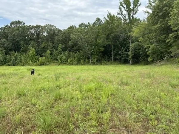 0 PURDY BEAUTY HILL RD, Bethel Springs, TN 38315