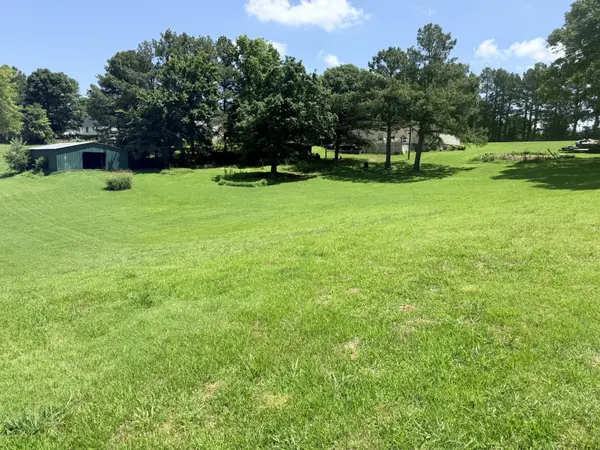 6719 Chestnut Bluff Maury C Rd, Friendship, TN 38034