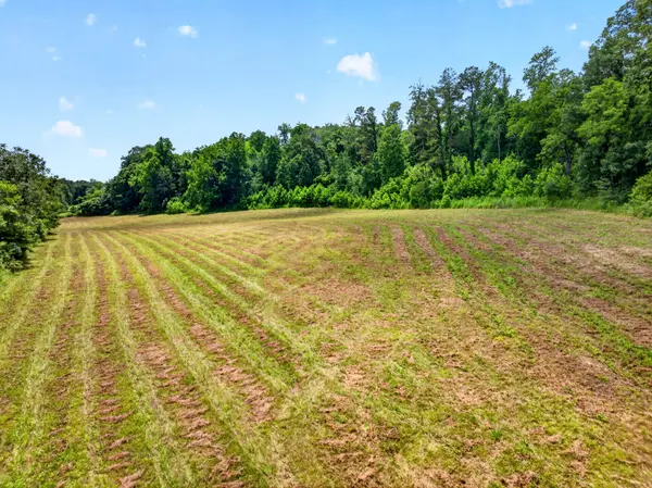 0 Ellis Mills Rd, Erin, TN 37061