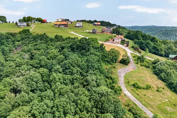 0 Turtle Lane, Celina, TN 38551