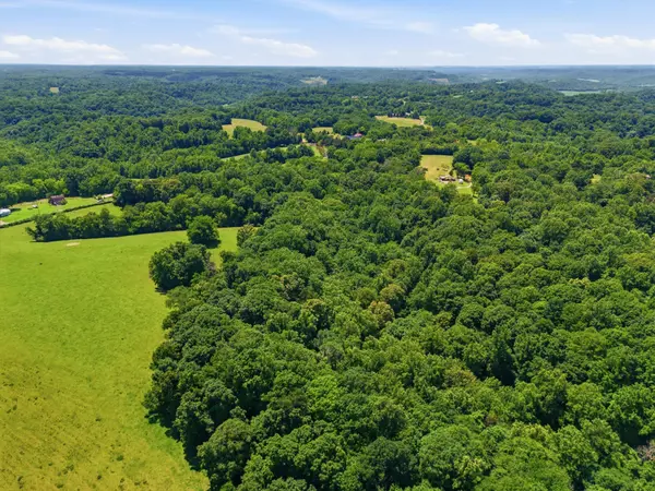 0 Mann Road, Flintville, TN 37335