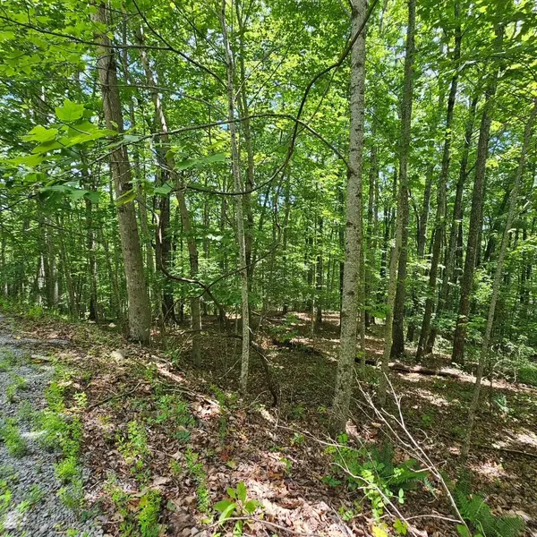555 Oak Leaf Lane, Dunlap, TN 37327