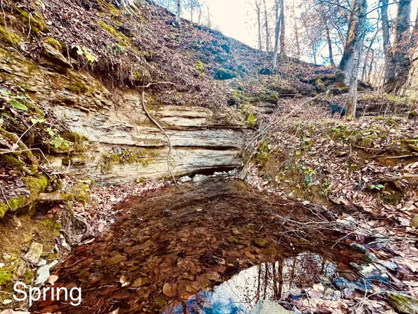 1611 Knob Creek Rd, Celina, TN 38551