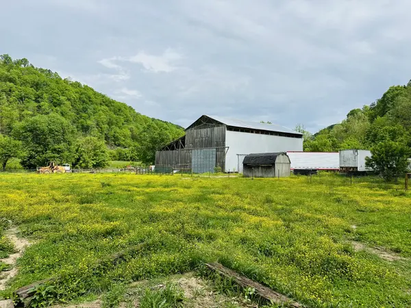 1611 Knob Creek Rd, Celina, TN 38551