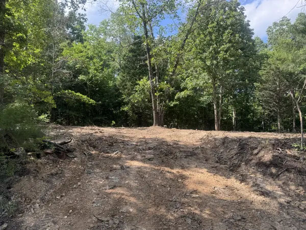 1 Commissary Ridge Rd,  Indian Mound,  TN 37079