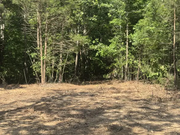 1 Commissary Ridge Rd, Indian Mound, TN 37079