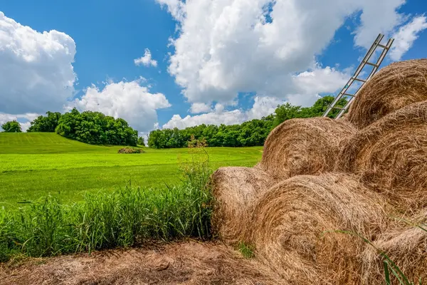 2200 Sugar Ridge Rd, Spring Hill, TN 37174