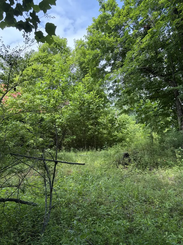 200 Robert Neal Durham Rd, Bethpage, TN 37022
