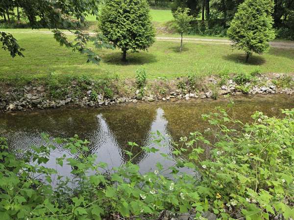 448 Osage Ln, Bradyville, TN 37026