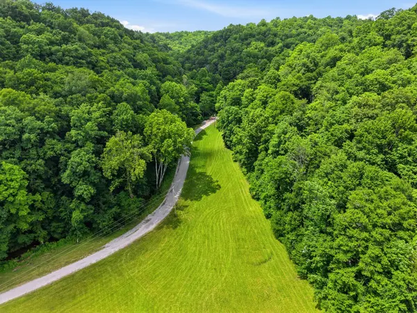 1639 Eucalyptus Dr, Byrdstown, TN 38549