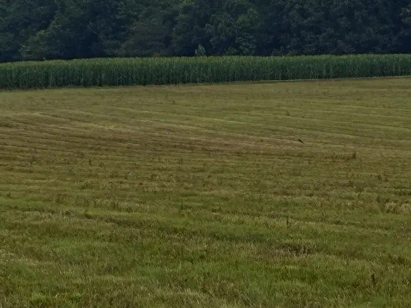 0 Rushing Road, Ethridge, TN 38456