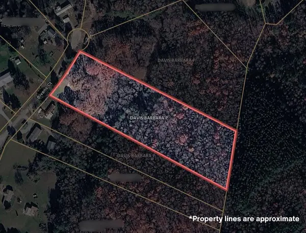 180 Bivens Court, Niota, TN 37826